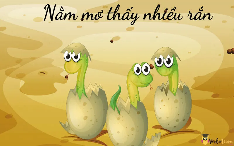 Giải mã những điềm báo bí ẩn xoay quanh giấc mơ thấy rắn